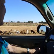 Baja2011 119 : Baja2011